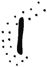 Image of the occurrence